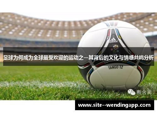 足球为何成为全球最受欢迎的运动之一其背后的文化与情感共鸣分析