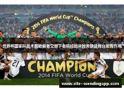 世界杯国家队战术前瞻新老交替下老将经验决胜关键战舞台发挥作用