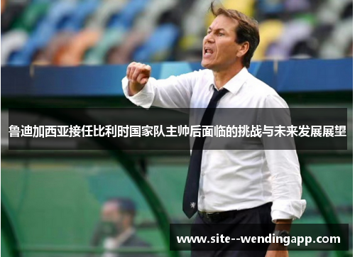 鲁迪加西亚接任比利时国家队主帅后面临的挑战与未来发展展望