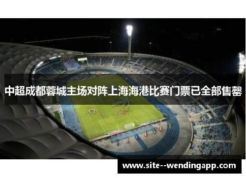 中超成都蓉城主场对阵上海海港比赛门票已全部售罄
