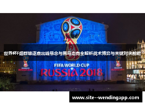 世界杯F组群雄逐鹿出线悬念与黑马走向全解析战术博弈与关键对决前瞻
