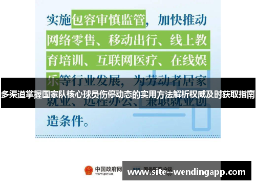 多渠道掌握国家队核心球员伤停动态的实用方法解析权威及时获取指南